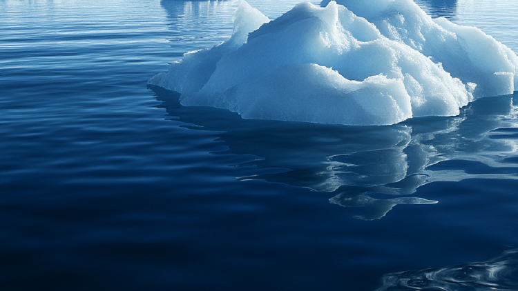 Direct Action Halts Fossil Fuel Pipeline as Indigenous Leaders Demand Climate Justice